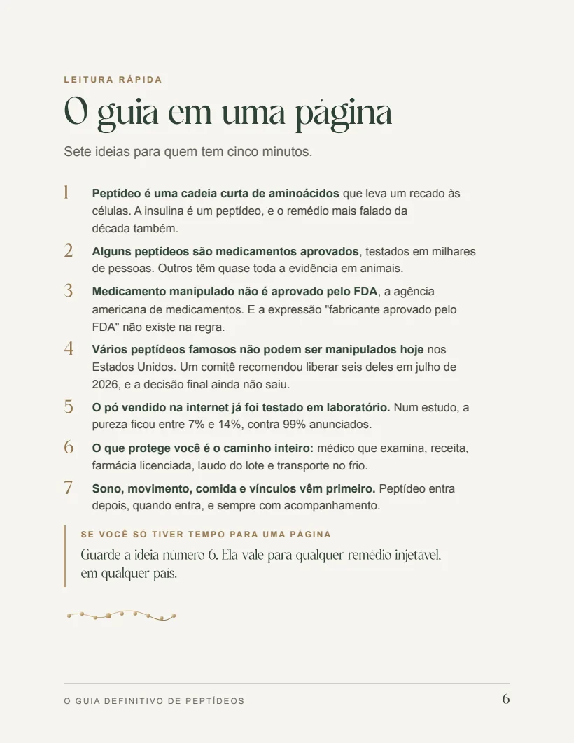 Página O guia em uma página, com sete ideias